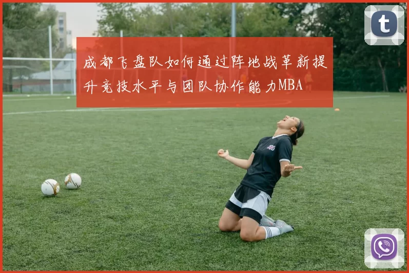 成都飞盘队如何通过阵地战革新提升竞技水平与团队协作能力MBA