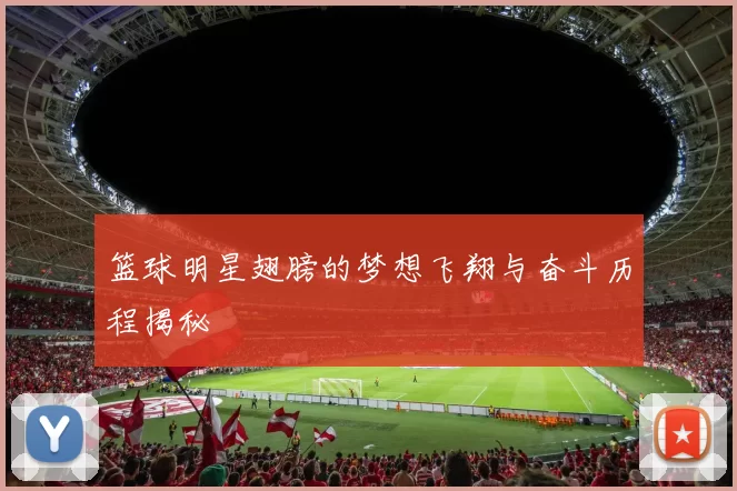 篮球明星翅膀的梦想飞翔与奋斗历程揭秘