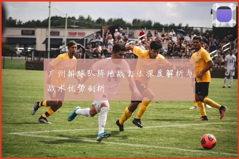 广州排球队阵地战打法深度解析与战术优势剖析